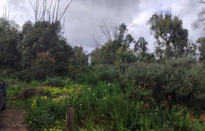 Resale - Plot - Residential Plot - Manilva - Manilva Centro