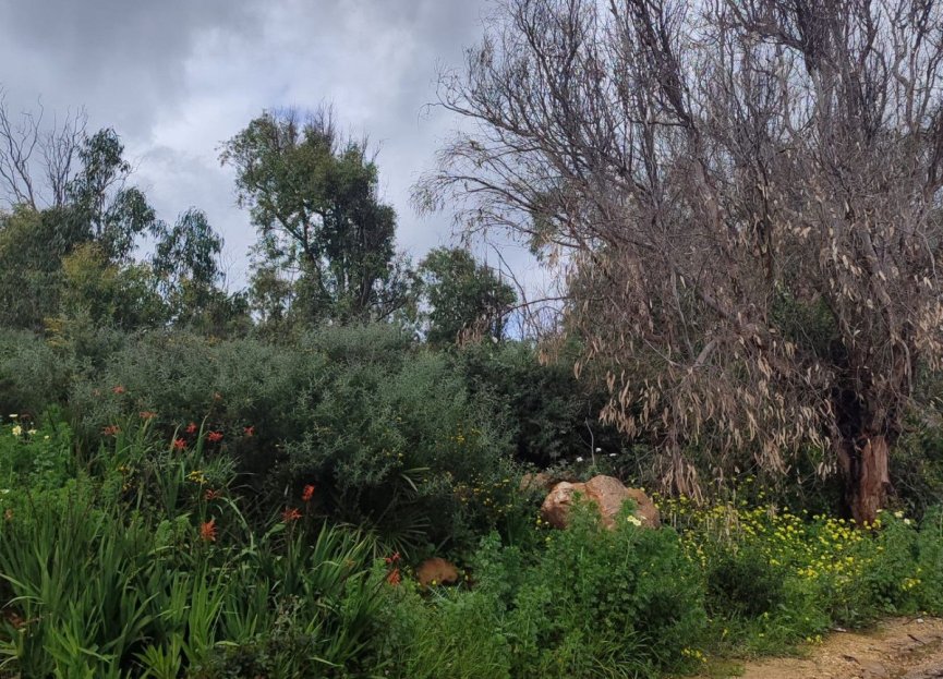 Resale - Plot - Residential Plot - Manilva - Manilva Centro