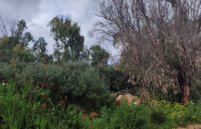 Resale - Plot - Residential Plot - Manilva - Manilva Centro