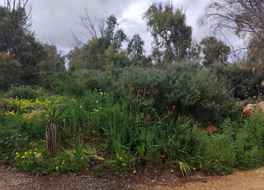 Resale - Plot - Residential Plot - Manilva - Manilva Centro