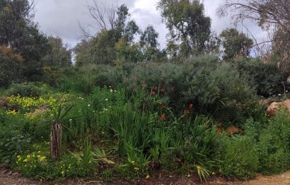 Resale - Plot - Residential Plot - Manilva - Manilva Centro